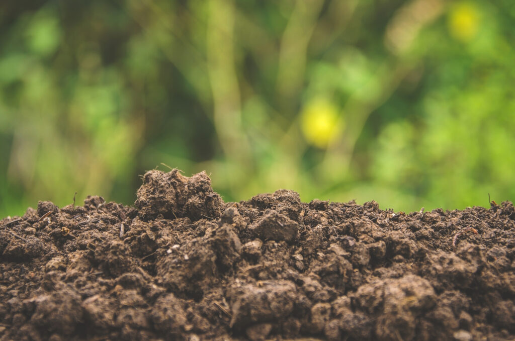Selecting a garden site with good soil.