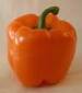 Orange King Sweet Pepper - St. Clare Heirloom Seeds