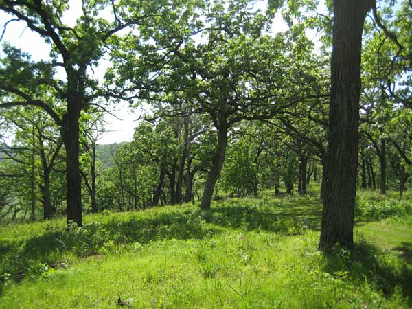 Gardening in Northern Wisconsin - St. Clare Heirloom Seeds