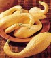 Early Summer Crookneck Summer Squash - St. Clare Heirloom Seeds