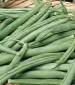 Tendergreen Improved Bean - St. Clare Heirloom Seeds