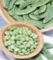 Fordhook 242 Lima Bean - St. Clare Heirloom Seeds