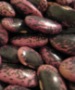 Runner Bean Seeds