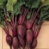 Cylindra Long Red Beet Seeds - St. Clare Heirloom Seeds