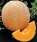 Hales Best Jumbo Cantaloupe - St. Clare Heirloom Seeds