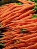 Imperator 58 Carrot - St. Clare Heirloom Seeds