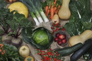 Organic Gardening can yield a lot of produce plus the peace of mind of being chemical free. - St. Clare Heirloom Seeds