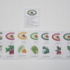 "Beginner Vegetable Garden Seed Collection – St. Clare Heirloom Seeds"