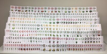 St. Clare's Stocking Up Vegetable Garden Seed Collection - St. Clare Heirloom Seeds