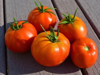 Tomato, Red - Boxcar Willie - St. Clare Heirloom Seeds