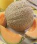 Hearts of Gold Cantaloupe - St. Clare Heirloom Seeds
