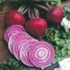Beet - Chioggia - St. Clare Heirloom Seeds