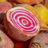 Beet - Chioggia - St. Clare Heirloom Seeds