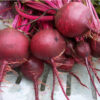 Beet - Detroit Dark Red - St. Clare Heirloom Seeds