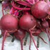 Beet - Detroit Dark Red - St. Clare Heirloom Seeds