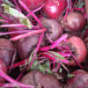Beet - Detroit Dark Red - St. Clare Heirloom Seeds