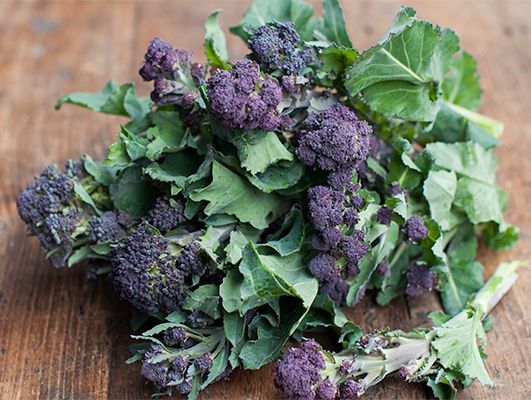 Purple Sprouting Broccoli - St. Clare Heirloom Seeds