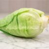 Early Jersey Wakefield Cabbage - St. Clare Heirloom Seeds