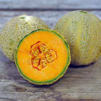 Honey Rock Cantaloupe - St. Clare Heirloom Seeds