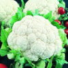 Snowball Y Improved Cauliflower - St. Clare Heirloom Seeds