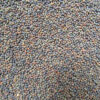 Cauliflower Seeds