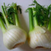 Two Fennel - Sweet bulbs cut in half, showing pale layered bases with green stalks and feathery leaves, set on a white surface. - St. Clare Heirloom Seeds