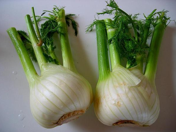 Two Fennel - Sweet bulbs cut in half, showing pale layered bases with green stalks and feathery leaves, set on a white surface. - St. Clare Heirloom Seeds