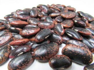 Scarlet Runner Bean - St. Clare Heirloom Seeds