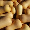 Waltham Butternut Squash - St. Clare Heirloom Seeds