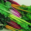 Swiss Chard - Rainbow Mix - St. Clare Heirloom Seeds