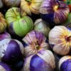 Tomatillo - Purple Tomatillo - Image 2