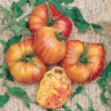 Tomato, Orange and Yellow - Old German - St. Clare Heirloom Seeds