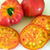 Tomato, Orange and Yellow - Old German - St. Clare Heirloom Seeds