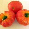 Tomato, Orange and Yellow - Old German - St. Clare Heirloom Seeds