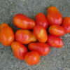 Tomato, Paste - Organic Roma - St. Clare Heirloom Seeds