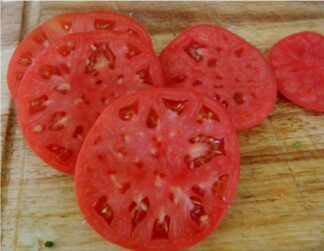 Mortgage Lifter Tomato - St. Clare Heirloom Seeds