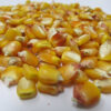 Henry Moore Corn - St Clare Seeds