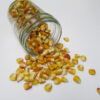 Henry Moore Corn - St Clare Seeds