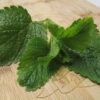 "Fresh lemon balm (Melissa officinalis) sprigs with bright green, textured leaves on a bamboo cutting board, ready for culinary or herbal use"