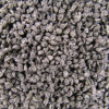 Leek Seeds