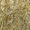 Lettuce Seeds