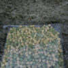 Super Sugar Snap Pea - St. Clare Heirloom Seeds