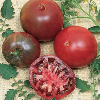 Tomato - Black Krim - St. Clare Heirloom Seeds
