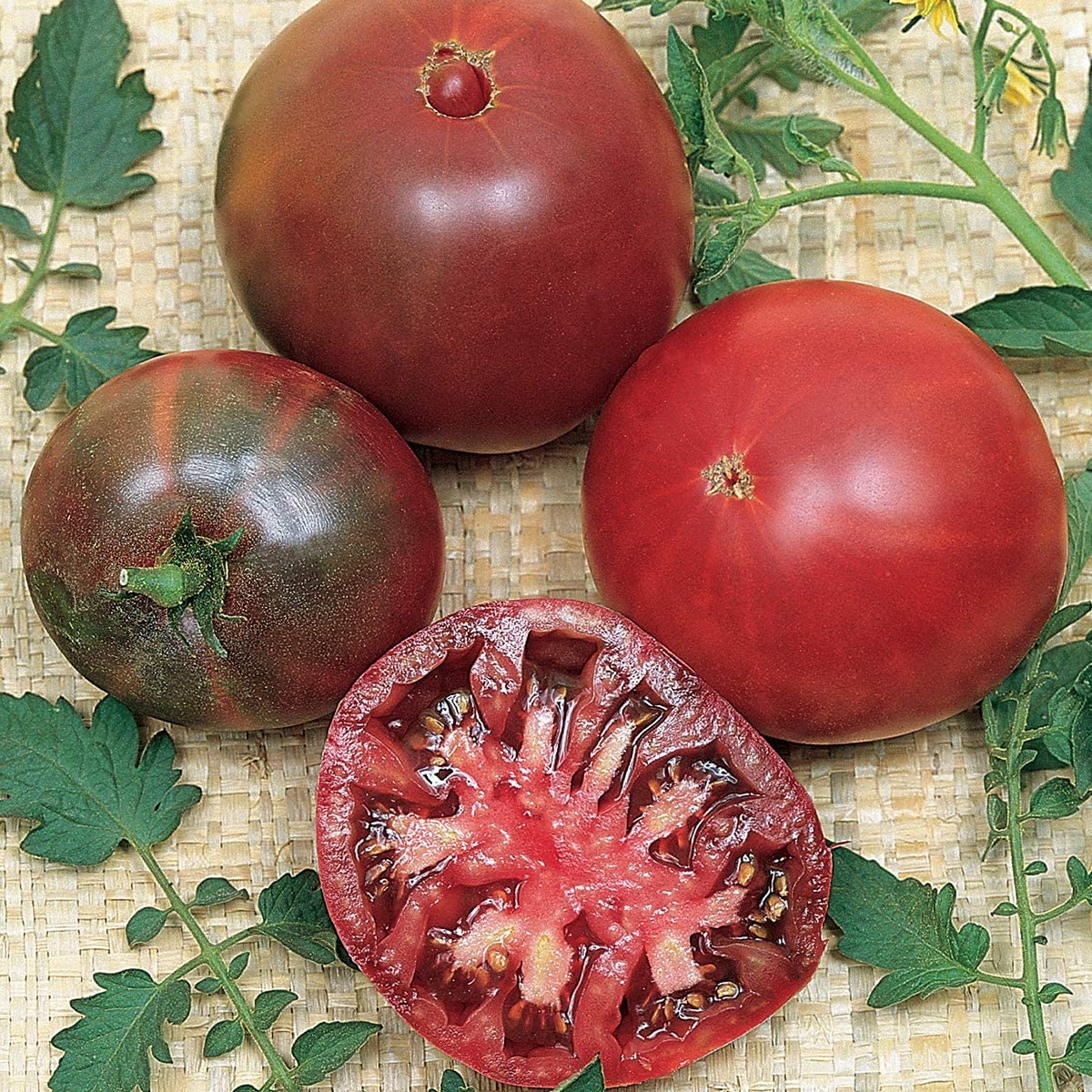 Tomato - Black Krim - St. Clare Heirloom Seeds