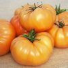 Kentucky Beefsteak Tomato - St. Clare Heirloom Seeds
