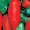 Tomato, Paste - Sausage Tomato - St. Clare Heirloom Seeds