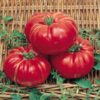Tomato, Pink and Purple - Soldacki - St. Clare Heirloom Seeds