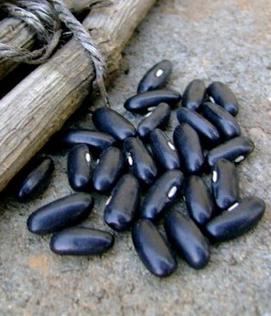 Bean, Dry and Snap - Henderson's Black Valentine - St. Clare Heirloom Seeds