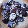 Christmas Lima Bean - St. Clare Heirlom Seeds