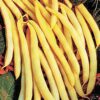 Cherokee Wax Bean - St. Clare Heirloom Seeds